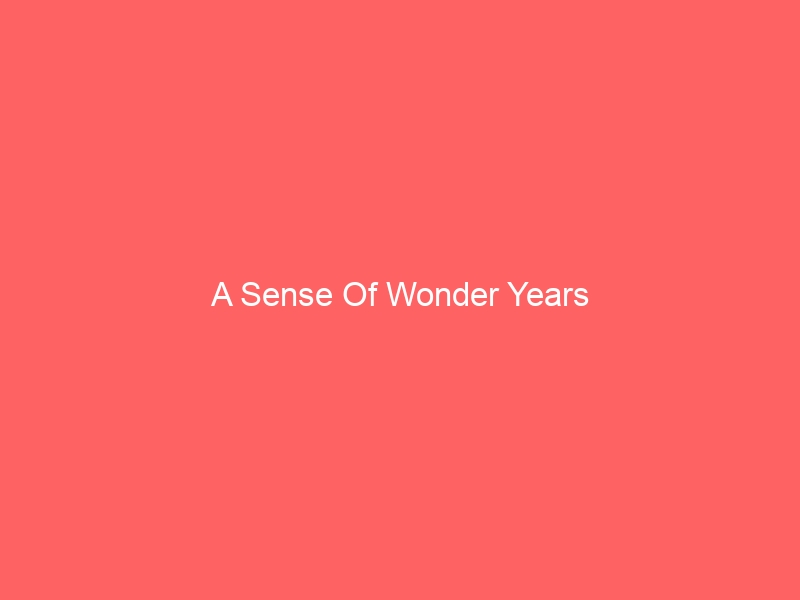 A Sense Of Wonder Years